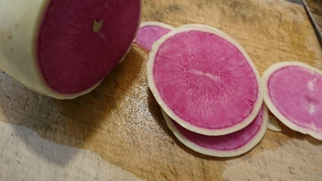 紅芯大根出荷開始 山森農園神奈川県三浦市 ご来店のお客様に発見や感動を Akinai Vege